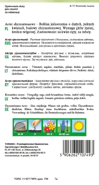 aster chryzantemowy wysoki nasiona torseed rewers