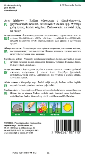 aster wysoki igielkowy torseed rewers