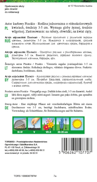Aster karłowy Pinokio Torseed rewers