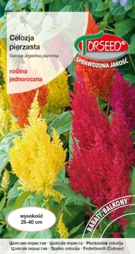 celozja pierzasta nasiona torseed