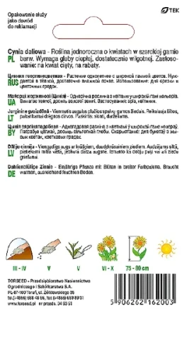 cynia daliowa nasiona torsed rewers