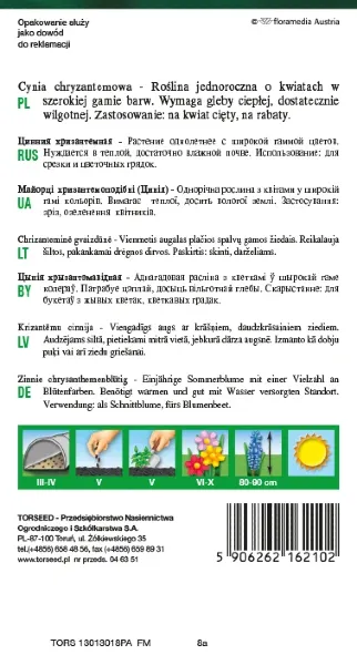 cynia-chryzantemowa-nasiona-torseed-rewers