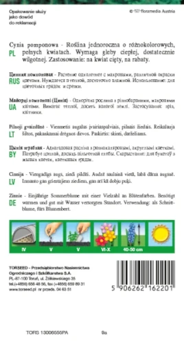 cynia-pomponowa-nasiona-torseed