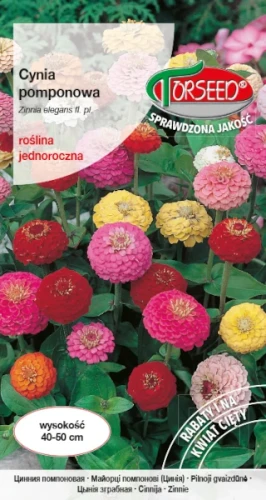 cynia-pomponowa-nasiona-torseed