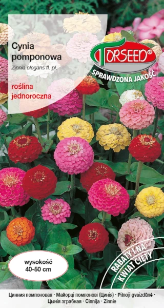 cynia-pomponowa-nasiona-torseed