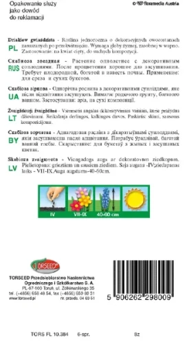 Driakiew gwiaździsta beżowo-zielona nasioa torseed rewers