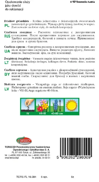 Driakiew gwiaździsta beżowo-zielona nasioa torseed rewers