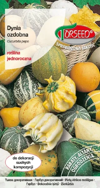 dynia ozdobna nasiona torseed