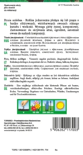 dynia ozdobna nasiona torseed rewers