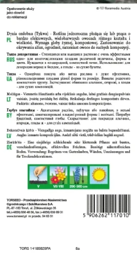 dynia ozdobna turecki turban torseed rewers