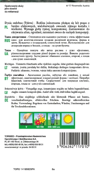 dynia ozdobna turecki turban torseed rewers