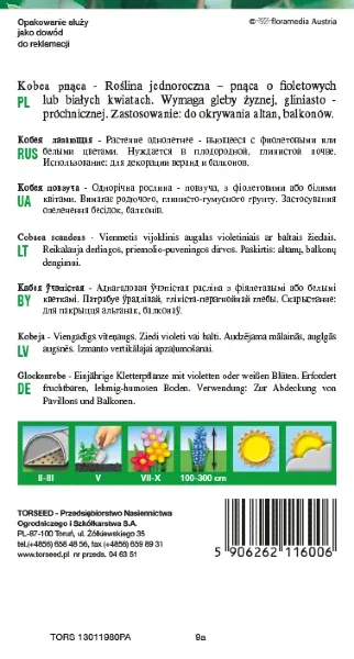 kobea pnaca fioletowa nasiona torseed rewers