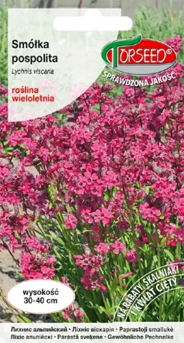 samolka pospolita nasiona torseed