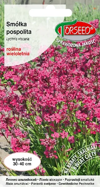 samolka pospolita nasiona torseed