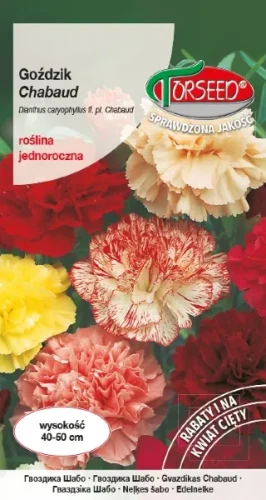 Gozdzik Chabaud nasiona Torseed