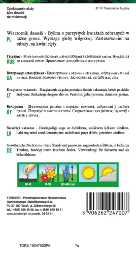 wieczornik damski nasiona torseed rewers