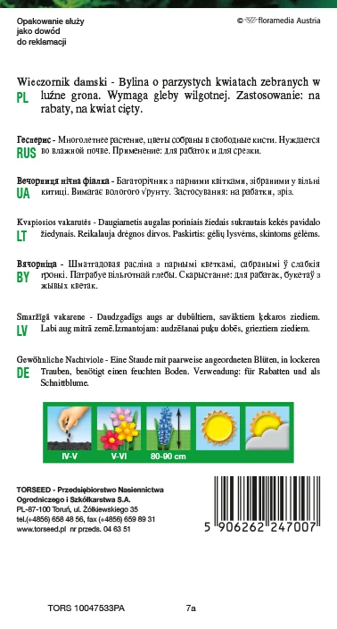 wieczornik damski nasiona torseed rewers