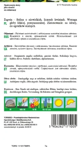 Żagwin fioletowy nasiona torseed rewers