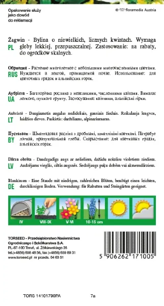 Żagwin fioletowy nasiona torseed rewers