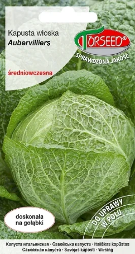 Nasiona-kapusty-włoskiej-Aubervilliers-torseed.webp