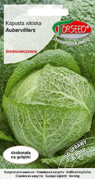 Nasiona-kapusty-włoskiej-Aubervilliers-torseed.webp