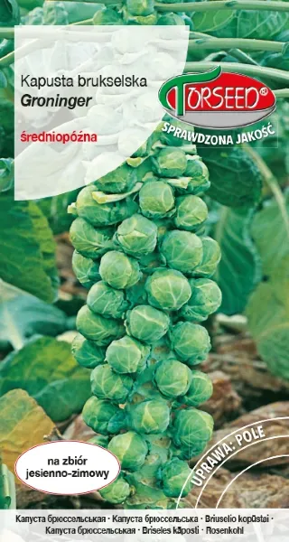 Brukselka Groninger nasiona Torseed 2 g