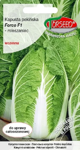 kapusta pekinska forco f1 torseed