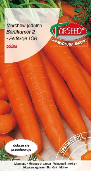 marchew-jadalna-berlikumer-torseed