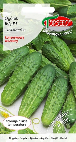 ogórek gruntowy konserwowy Ibis F1 nasiona Torseed
