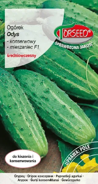 ogórek gruntowy konserwowy Odys F1 nasiona Torseed