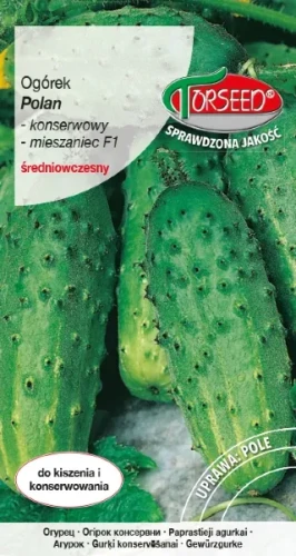 ogórek gruntowy konserwowy Polan F1 nasiona Torseed