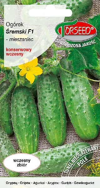 Ogórek gruntowy konserwowy Śremski F1 nasiona Torseed