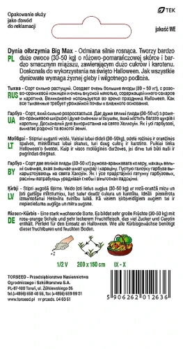 dynia-olbrzymia-big-max-nasiona-torseed-rewers