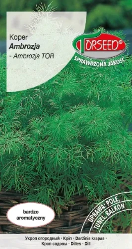 Koper Ambrozja nasiona Torseed