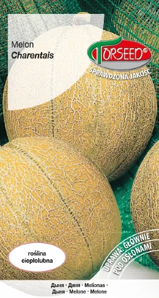 Melon Charentais nasiona Torseed