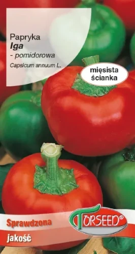 papryka słodka Iga pomidorowa nasiona Torseed