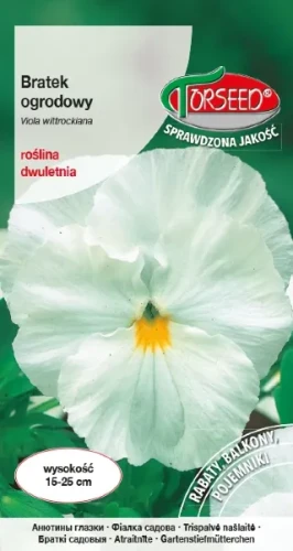 Bratek biały wielkokwiatowy nasiona Torseed