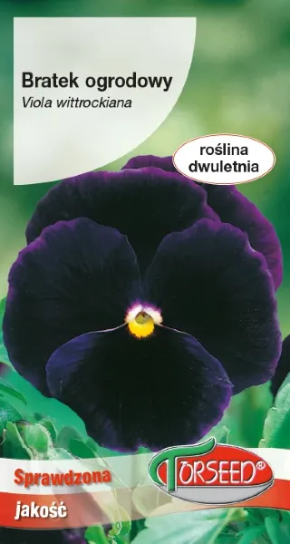 Bratek fioletowy wielkokwiatowy nasiona Torseed