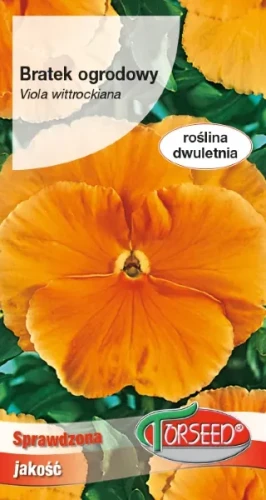 Bratek pomarańczowy wielkokwiatowy nasiona Torseed