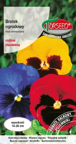 Bratek wielkokwiatowy mix kolorów nasiona Torseed
