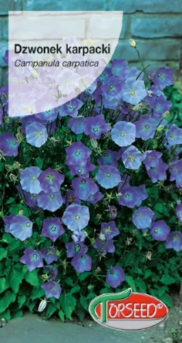 Nasiona dzwonka karpackiego niebieskiego marki Torseed