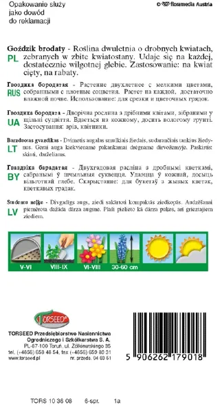 Goździk brodaty nasiona Torseed tył opakowania