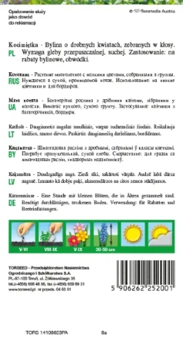 Kocimiętka nasiona Torseed tył opakowania