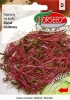 nasiona-na-kielki-burak-cwiklowy-czerwony-torseed