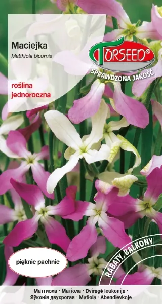 maciejka-nasiona-torseed.webp