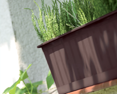 skrzynka balkonowa prosperplast agro aranzacja z roslina