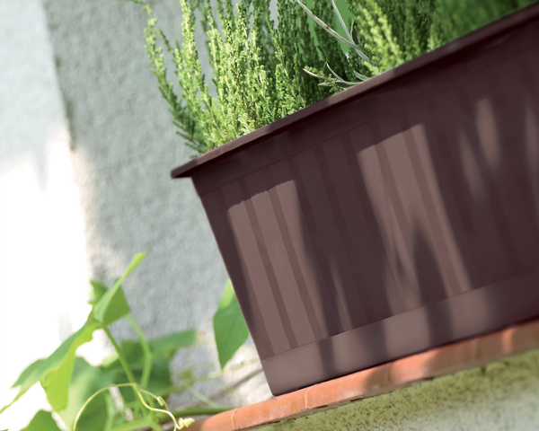 donica balkonowa prosperplast agro aranzacja z roslinami