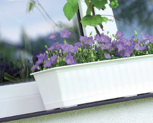 skrzynka balkonowa prosperplast agro aranzacja z roslinami