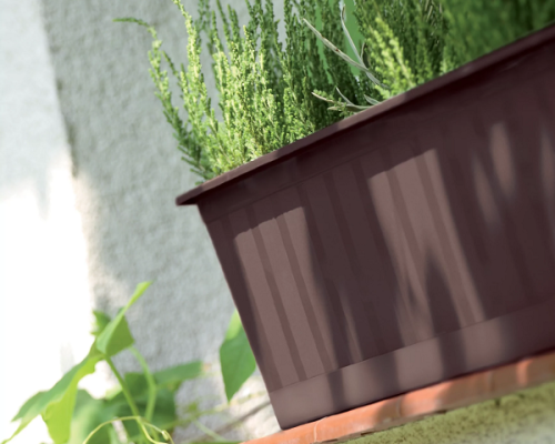 skrzynka balkonowa antracyt prosperplast agro prezentacja z roslinami