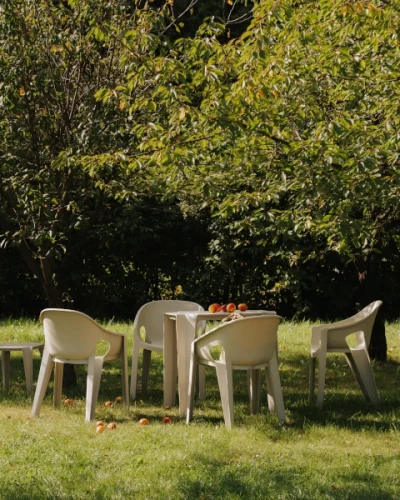 fotel-premo-stolik-lottie-ferne-aranzacja-w-sadzie